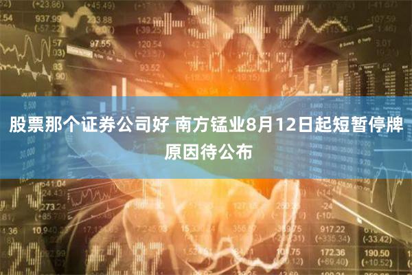 股票那个证券公司好 南方锰业8月12日起短暂停牌 原因待公布