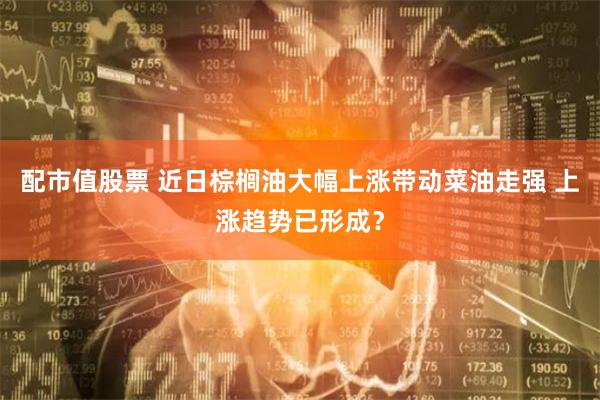 配市值股票 近日棕榈油大幅上涨带动菜油走强 上涨趋势已形成？